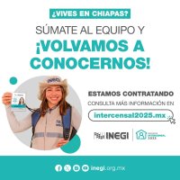 Convocatoria INEGI 020/2025